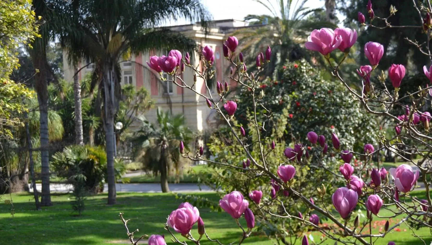 Casina Via Foria Bed & Breakfast Naples Italy